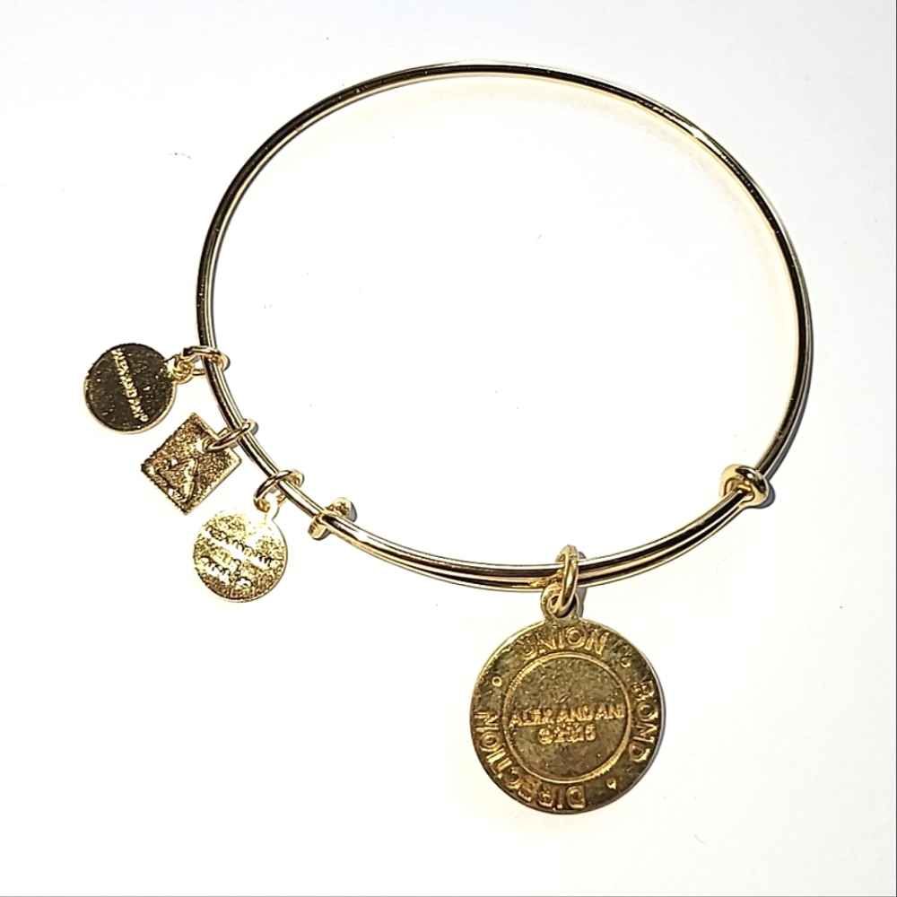 ALEX AND ANI "ARROWS OF FRIENDSHIP" BANGLE BRACELET - Picture 4 of 7
